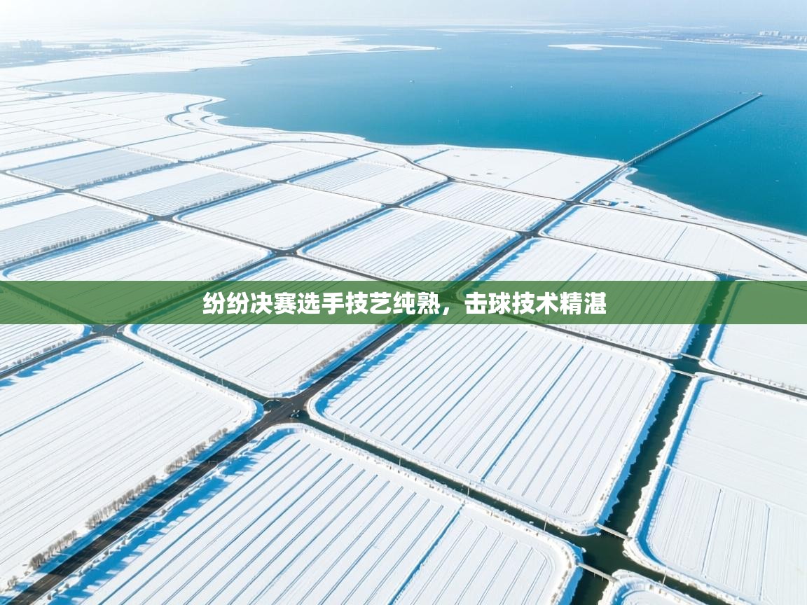 纷纷决赛选手技艺纯熟,击球技术精湛 第2张