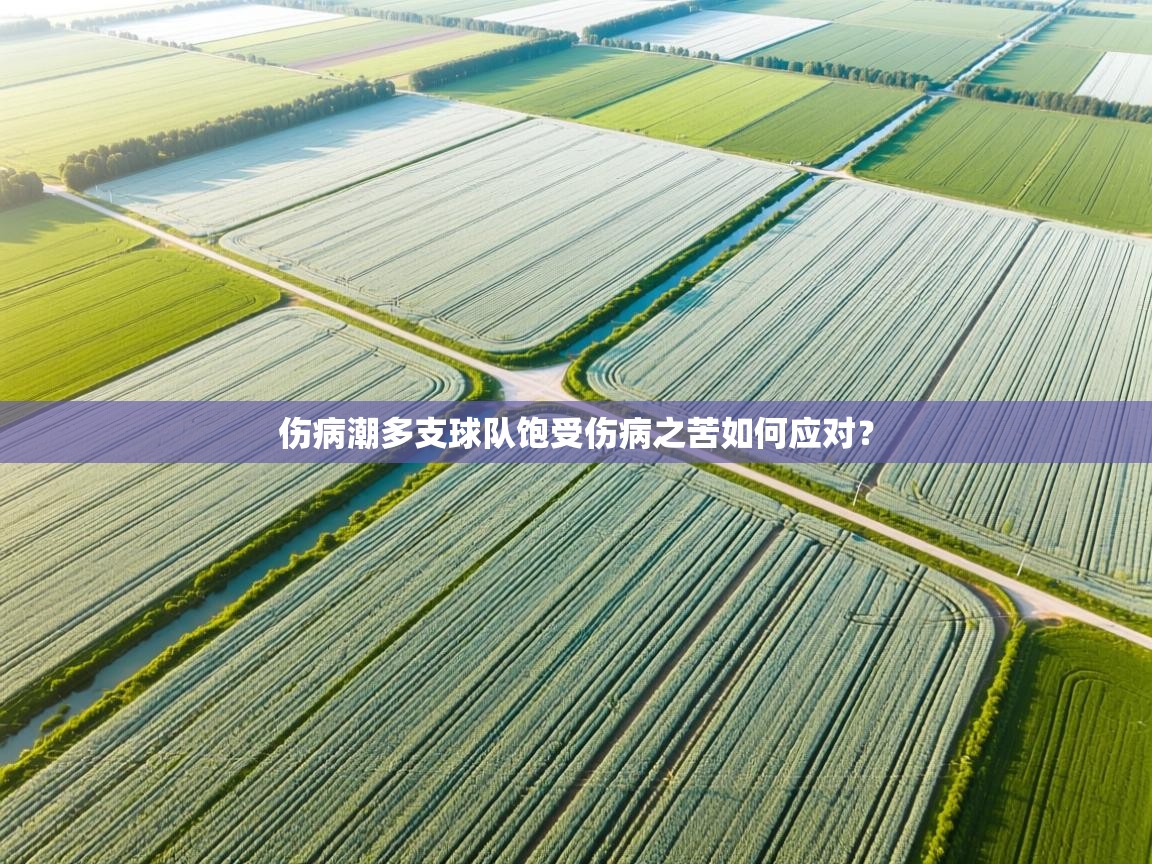 伤病潮多支球队饱受伤病之苦如何应对？  第1张