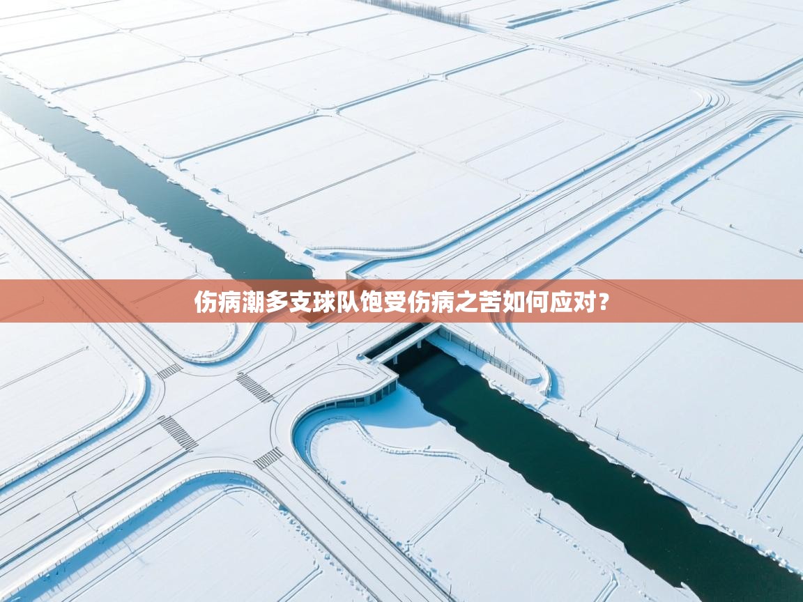 伤病潮多支球队饱受伤病之苦如何应对？  第2张