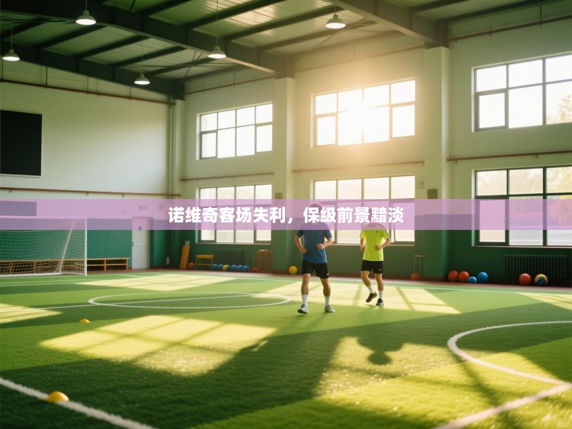 诺维奇客场失利,保级前景黯淡 第1张