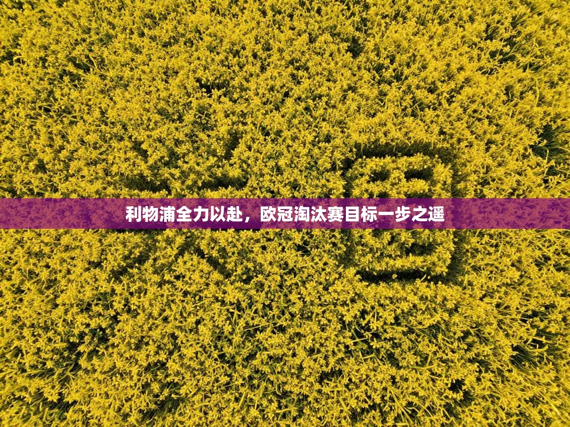 利物浦全力以赴，欧冠淘汰赛目标一步之遥  第1张