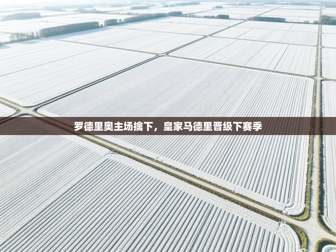 罗德里奥主场擒下,皇家马德里晋级下赛季 第1张