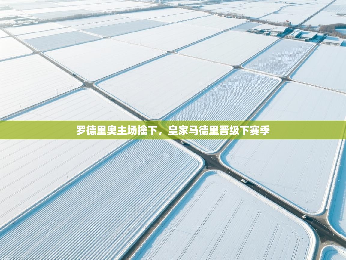 罗德里奥主场擒下,皇家马德里晋级下赛季 第2张